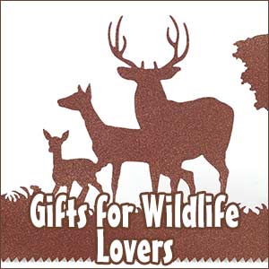 Contemporary Wildlife