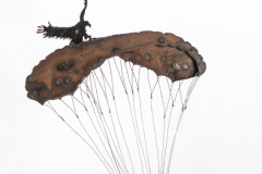 Paraglider-with-hawk