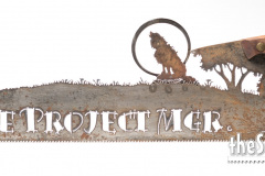 Walle-project-mgr-howling-moon