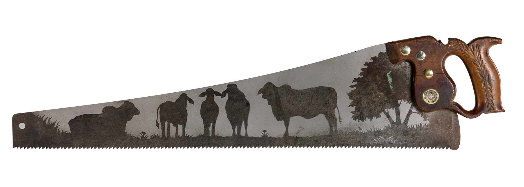 Brahman cattle saw art on vintage handsaw with rustic ranch field scene gift