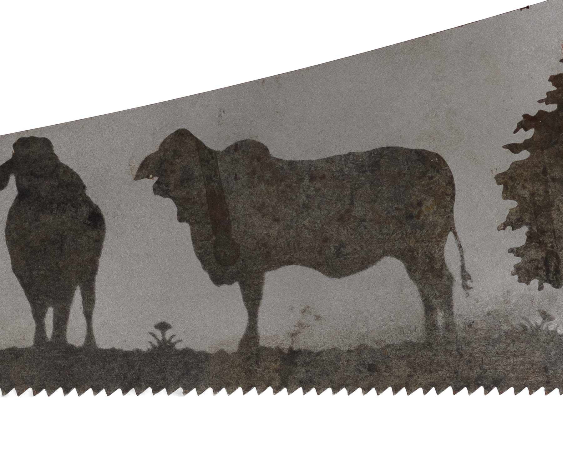 Brahman cattle saw art on vintage handsaw with rustic ranch field scene gift