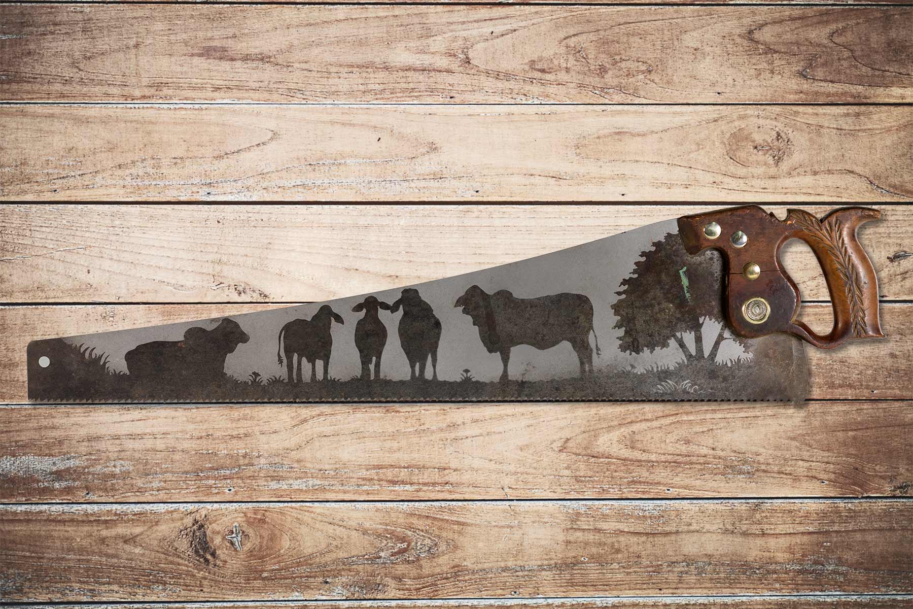 Brahman cattle saw art on vintage handsaw with rustic ranch field scene gift