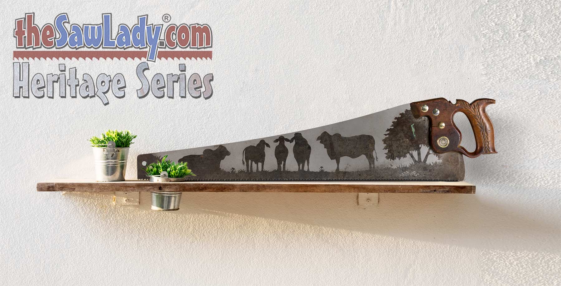 Brahman cattle saw art on vintage handsaw with rustic ranch field scene gift